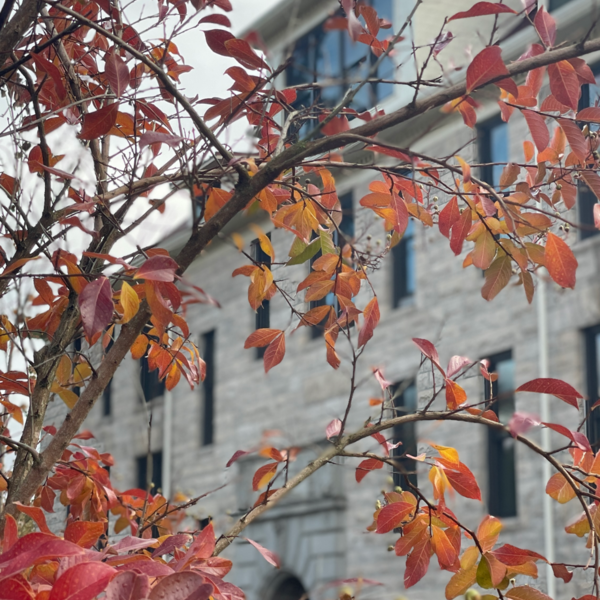Furman Hall 